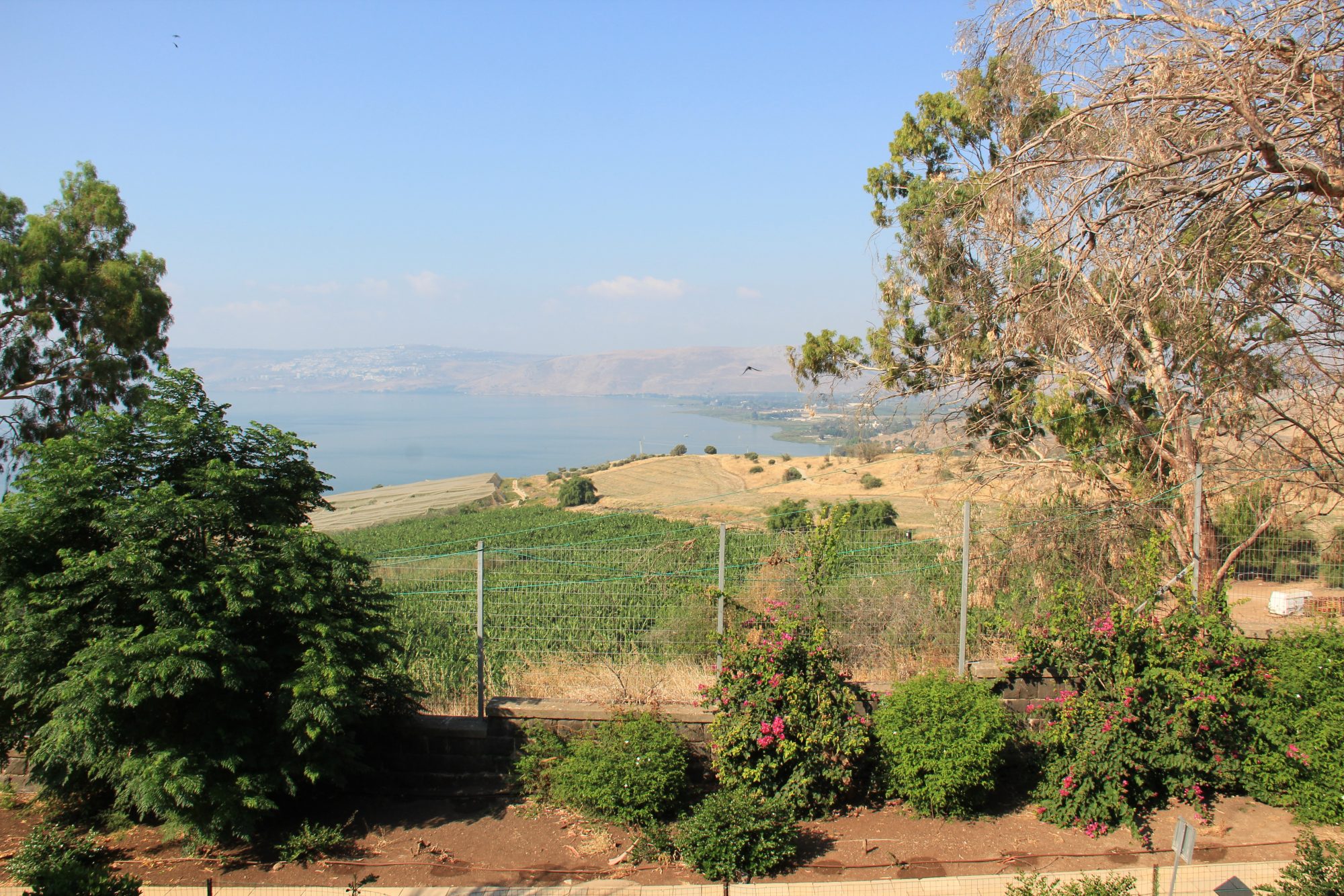 Mount of Beatitudes 26